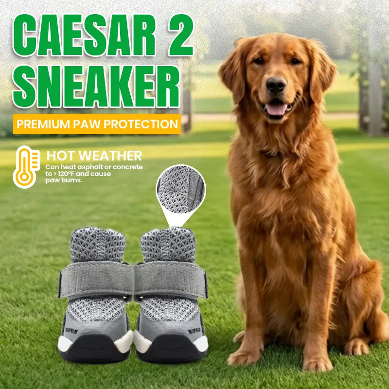 Rifruf Set of 2 Breathable Non‑Slip Pet Shoes – Lightweight Paw Protection Sneakers for Dogs & Cats