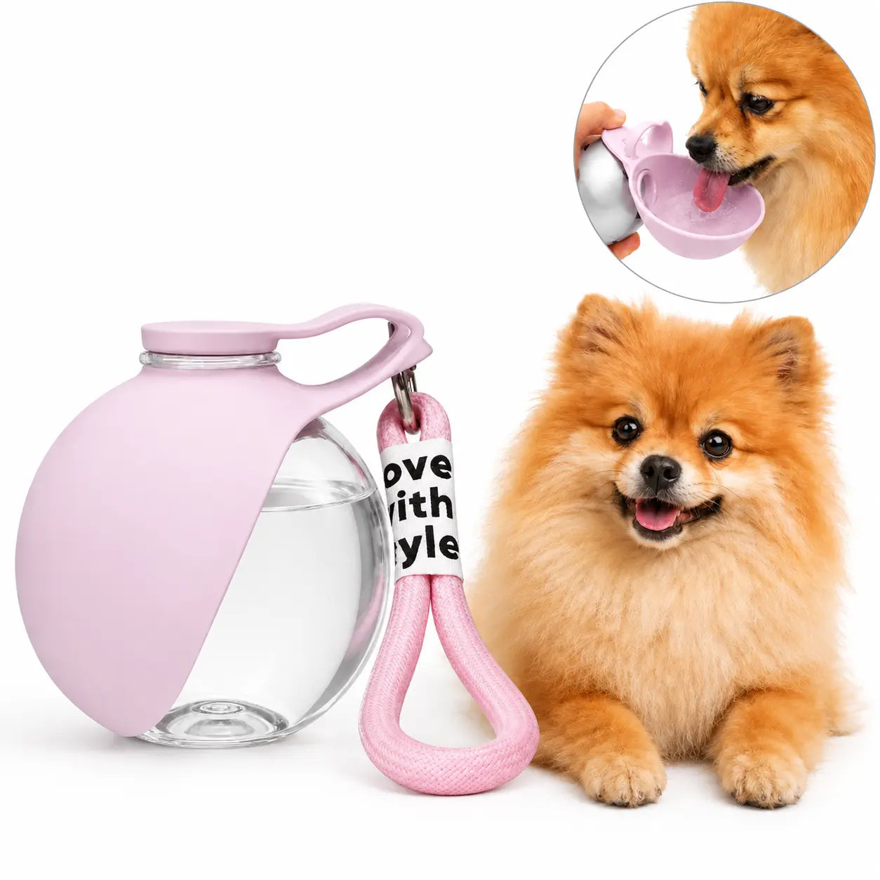 Stainless Steel Mess-Free Pet Water Bottle (285Ml) - Leak-Proof Dog Travel Dispenser with Wheat Straw Bone Poop Bag Holder, Portable Outdoor Pet Cleaning Set for Dogs & Cats, Mess-Free Water Bottles