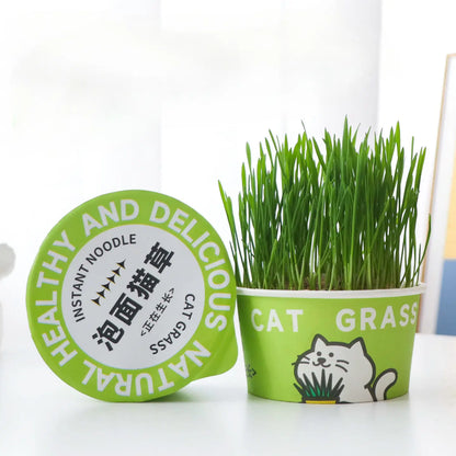 Easy-Grow Pet Grass Planter - Non-Gmo Cat Grass for Hairball Control, Digestion & Chewing - Perfect for Cats & Small Dogs