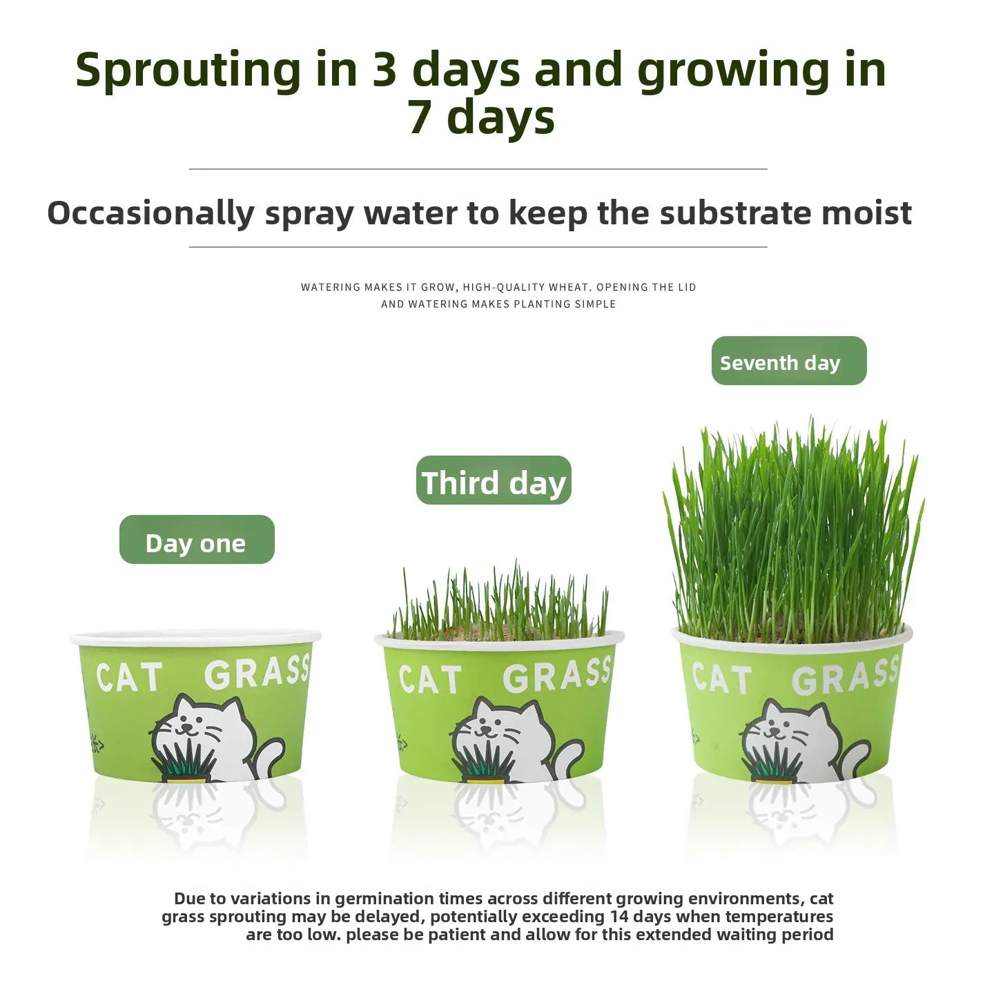 Easy-Grow Pet Grass Planter - Non-Gmo Cat Grass for Hairball Control, Digestion & Chewing - Perfect for Cats & Small Dogs