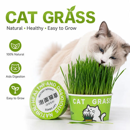 Easy-Grow Pet Grass Planter - Non-Gmo Cat Grass for Hairball Control, Digestion & Chewing - Perfect for Cats & Small Dogs