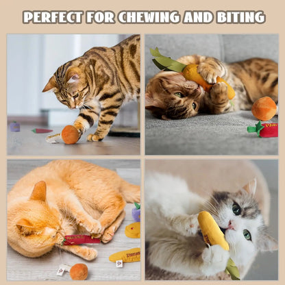 Pawsible 5 Pack Foodie Cat Toy Set, 100% Premium Cat Herb Filling, Natural Stimulation for Cats, Durable for Teething, Perfect Kitten Toy