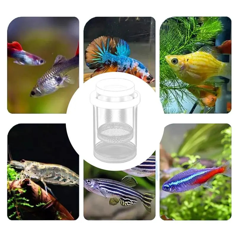 Transparent Aquarium Fish Breeding Isolation Box - High-Survival Floating Hatching Incubator, Fish Nursery, Aquatic Tank Pet Accessory