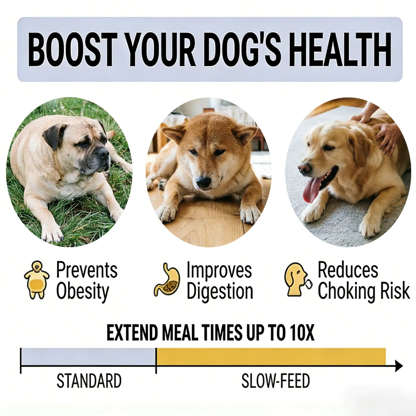 Slow Feeder Dog,Anti-Slip Feeder Slo Anti-Choking Removable Easy Clean Slow Feeder down Eating for Mediumsized Dogs Small Dog Puzzle Toys Pet Bowls Dogfood