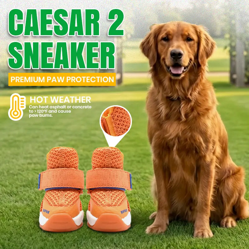 Rifruf Set of 2 Breathable Non‑Slip Pet Shoes – Lightweight Paw Protection Sneakers for Dogs & Cats